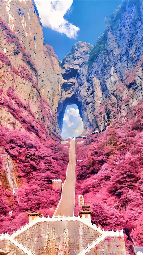 最好的旅游景点有哪些