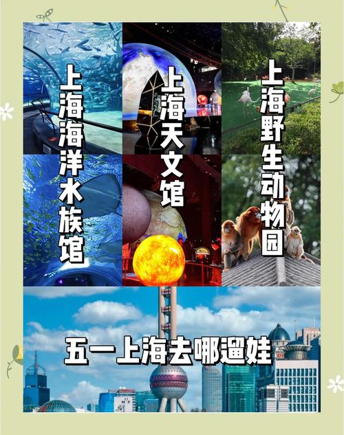 亲子游上海玩三天攻略