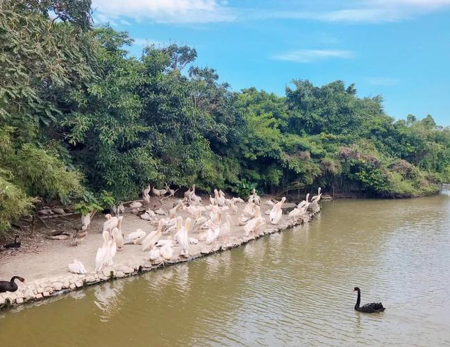 南沙湿地景区旅游景点