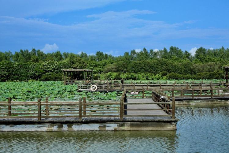 南沙湿地景区旅游景点
