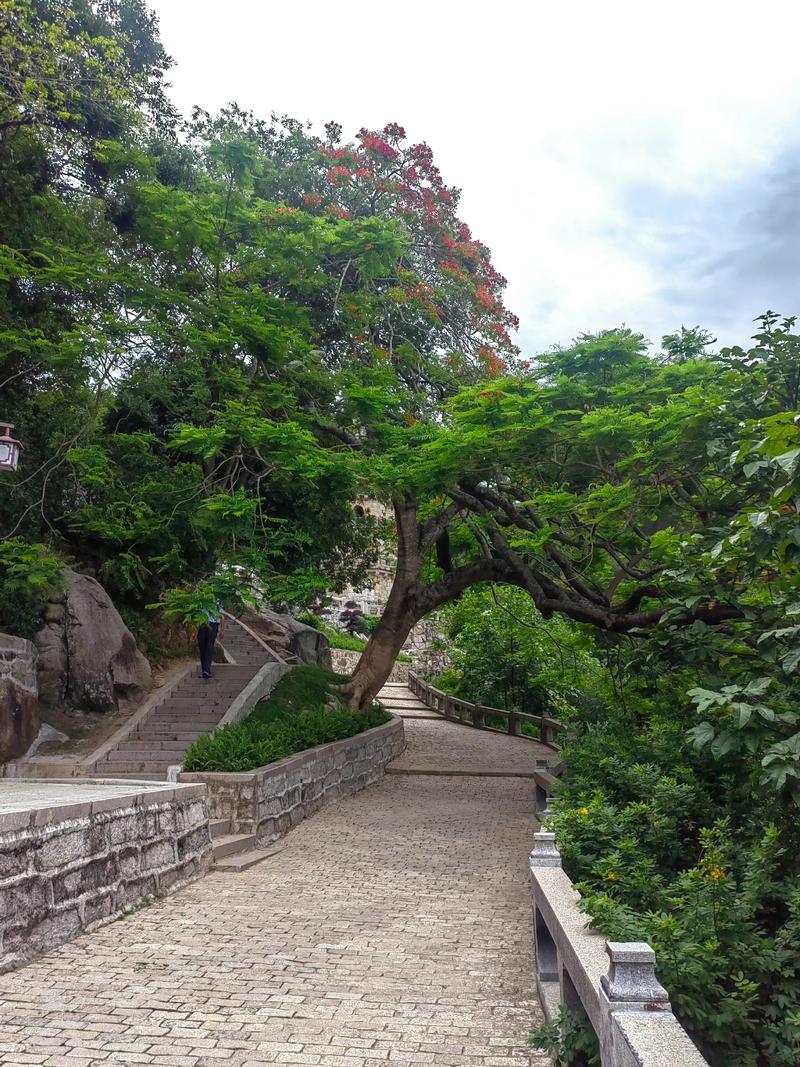潮州饶平旅游景点大全