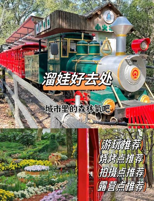 共青森林公园烧烤攻略