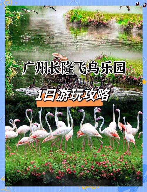 长隆飞鸟乐园旅游攻略