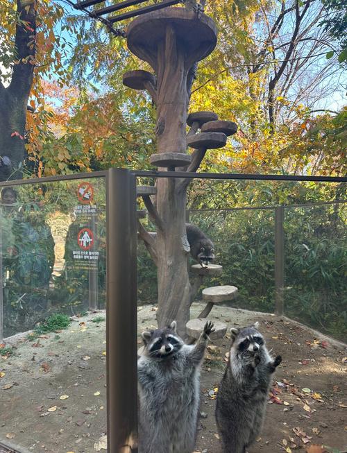 韩国爱宝乐园旅游攻略