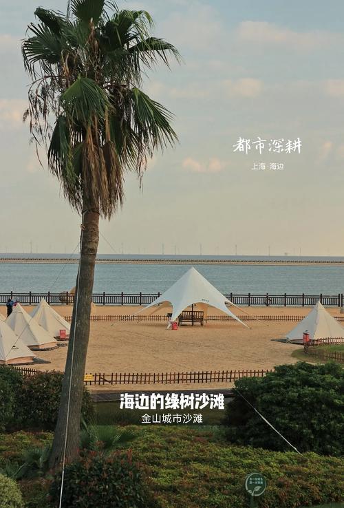 金山城市沙滩游玩攻略