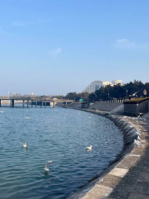 日照春节旅游景点大全