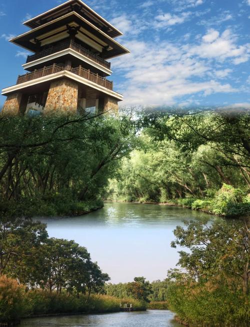 广州南沙湿地公园攻略