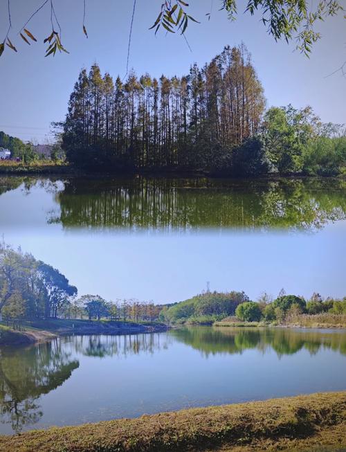 金海湿地公园游玩攻略