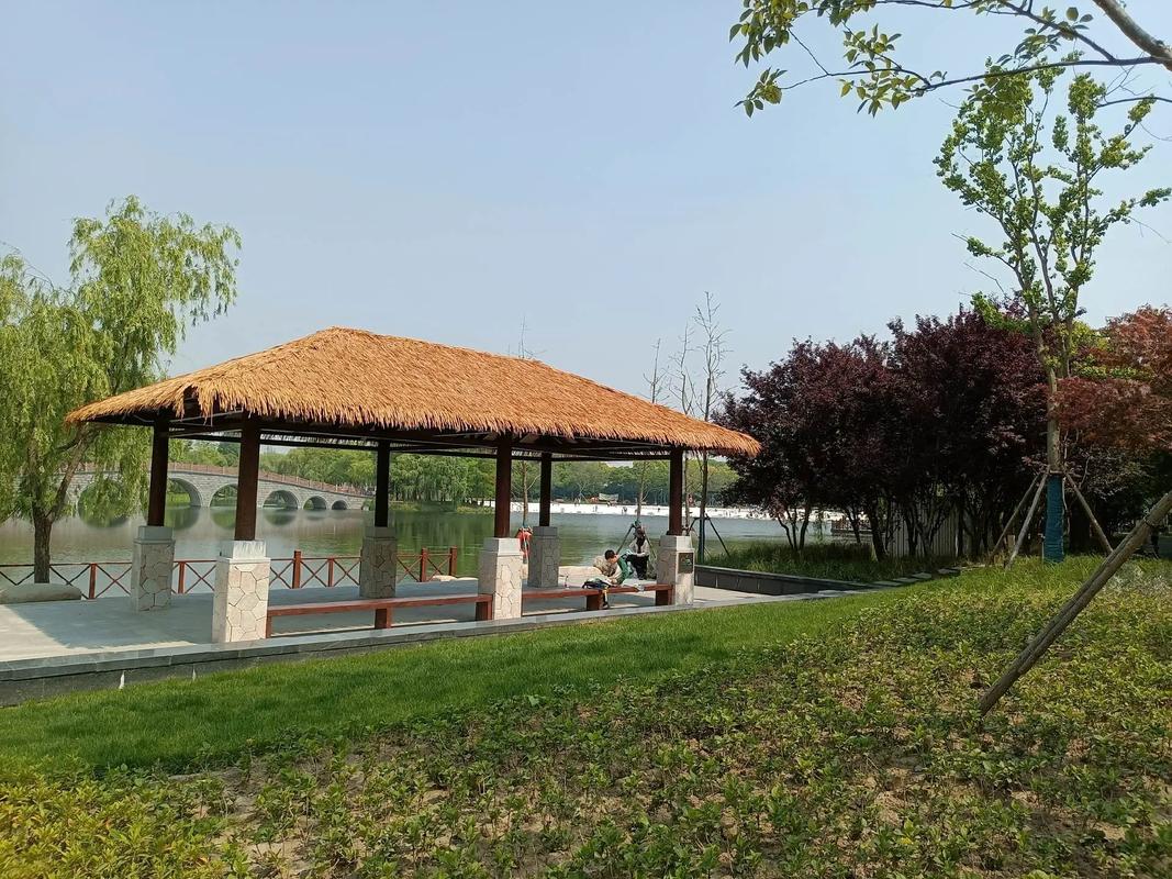 金海湿地公园游玩攻略