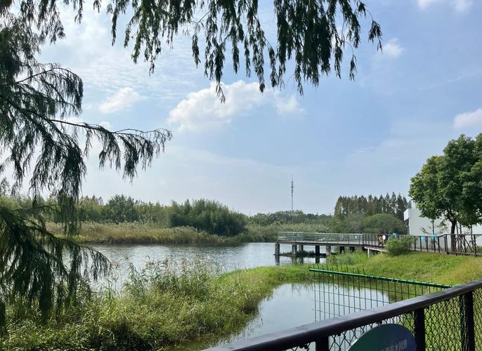 金海湿地公园游玩攻略