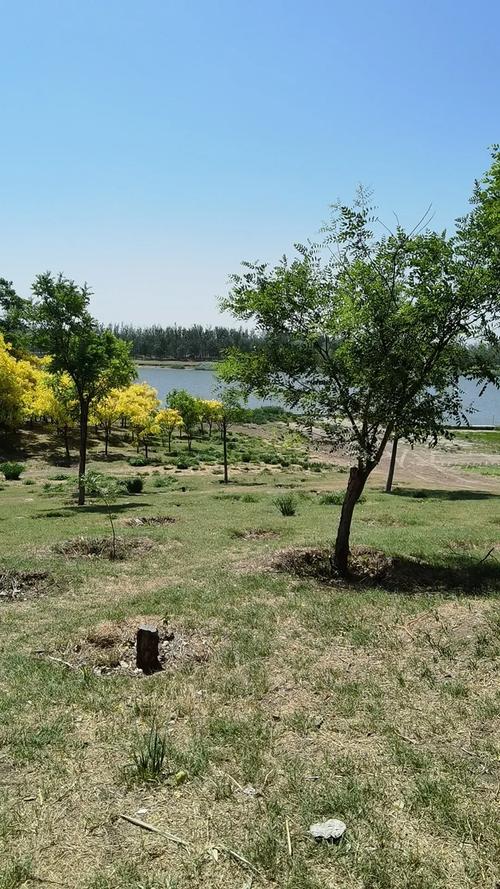 北辰郊野公园游玩攻略