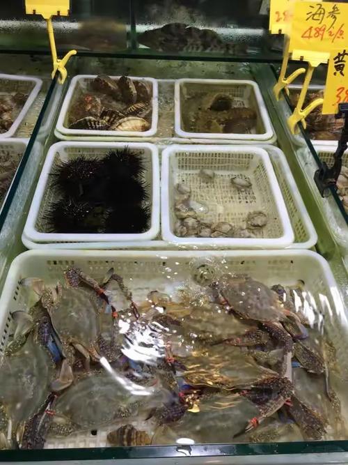 大连东港十五库美食