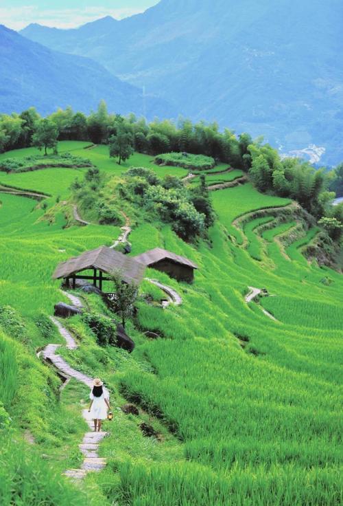 云和旅游景点景点大全