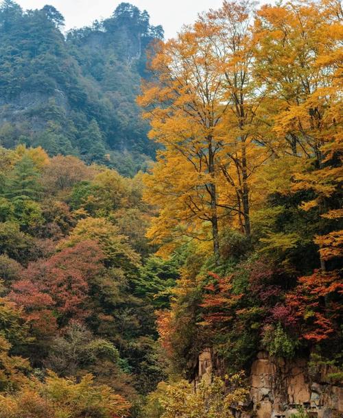 当季国内旅游景点推荐