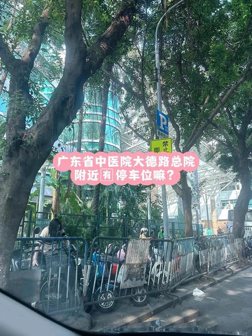 广东省中医院停车攻略