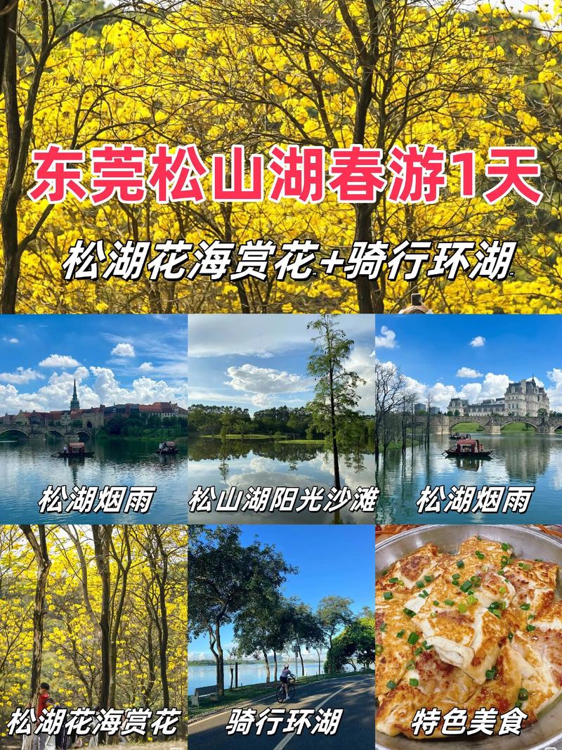 东莞松山湖自驾游攻略