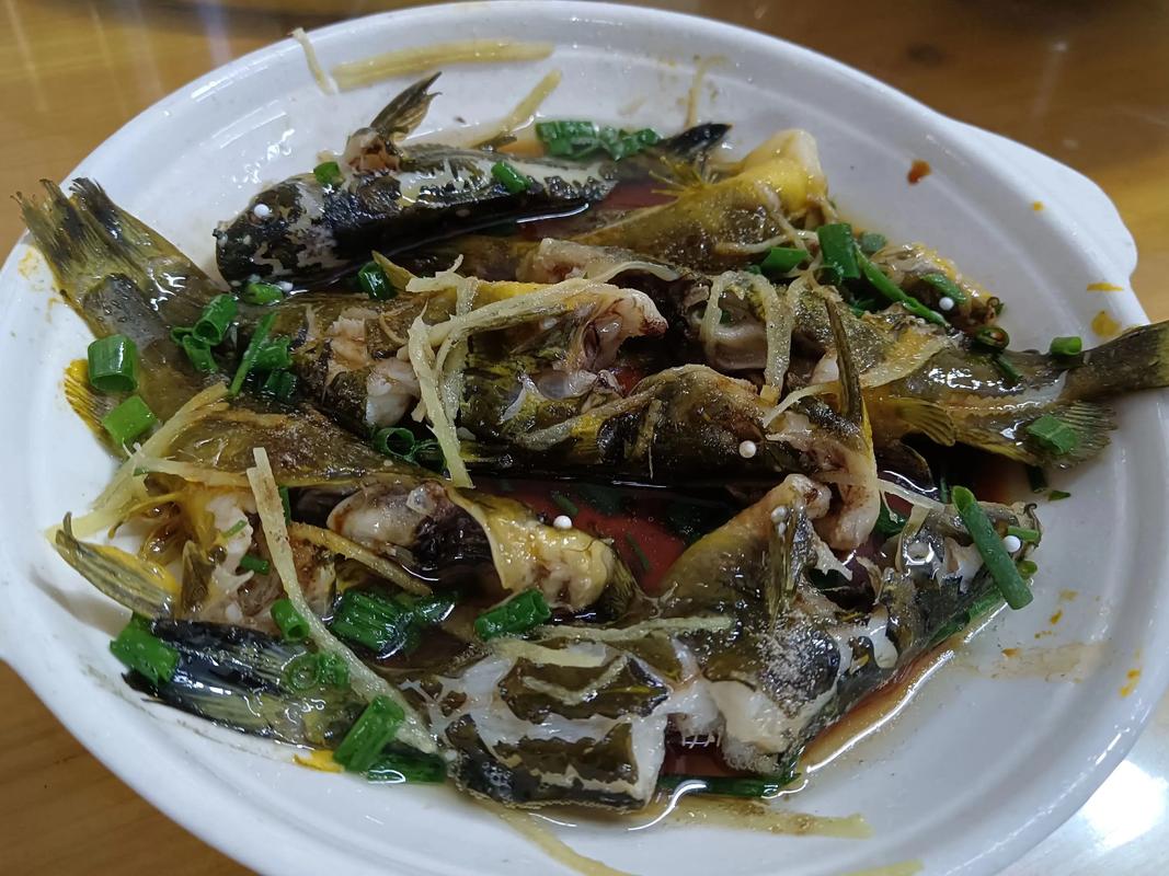 恩平美食推荐那家好