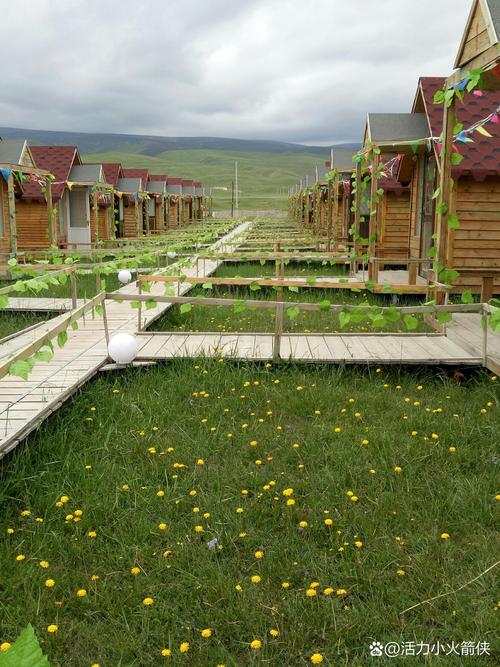 青海湖黑马河住宿攻略