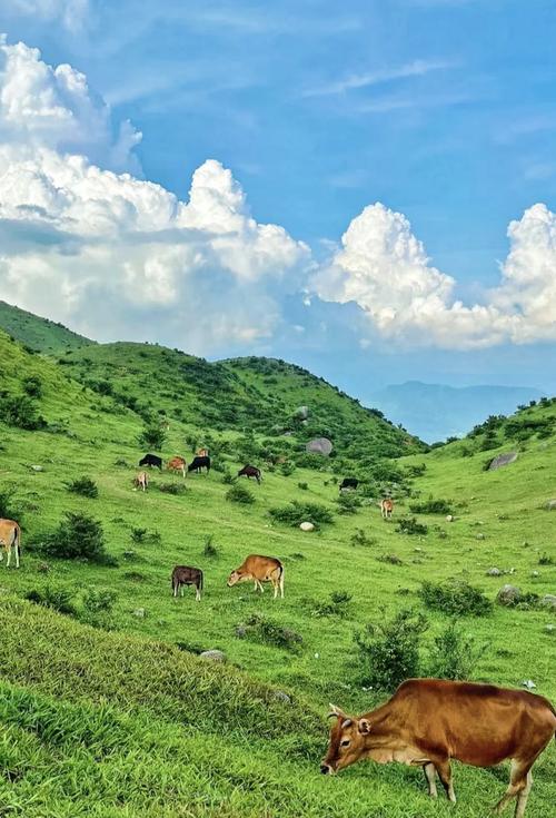 广东 自驾 旅游景点