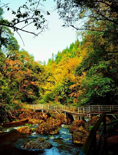 雅安旅游周边旅游景点