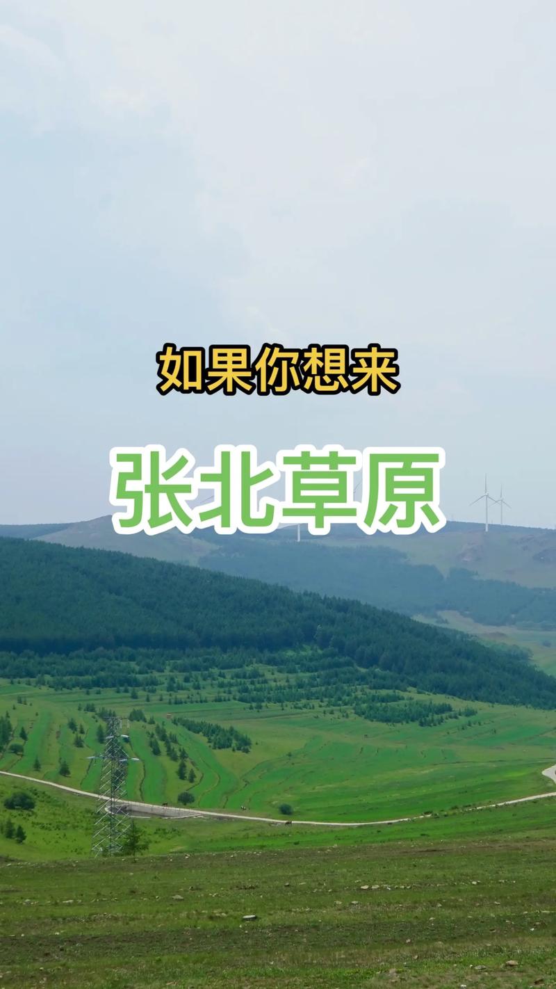张北中都草原旅游攻略