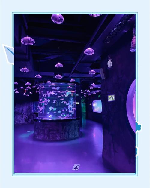 合肥海洋世界游玩攻略