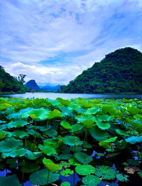 11月普者黑旅游攻略