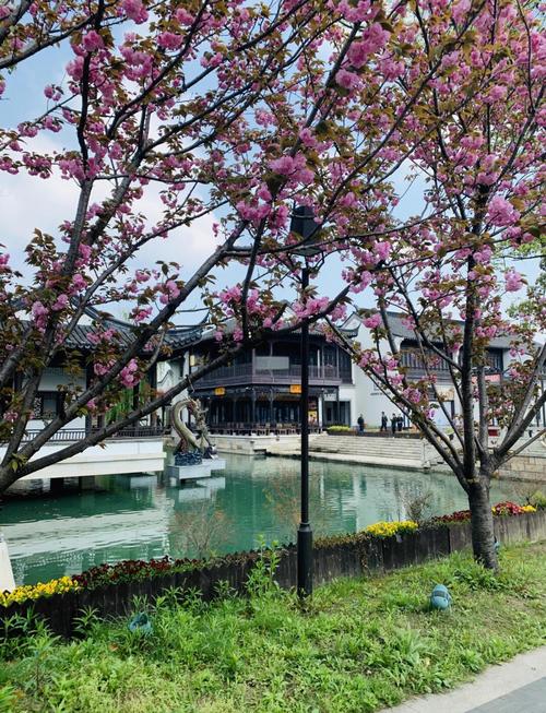 上海 周边 旅游景点