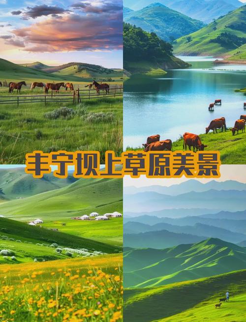 丰宁坝上草原住宿攻略