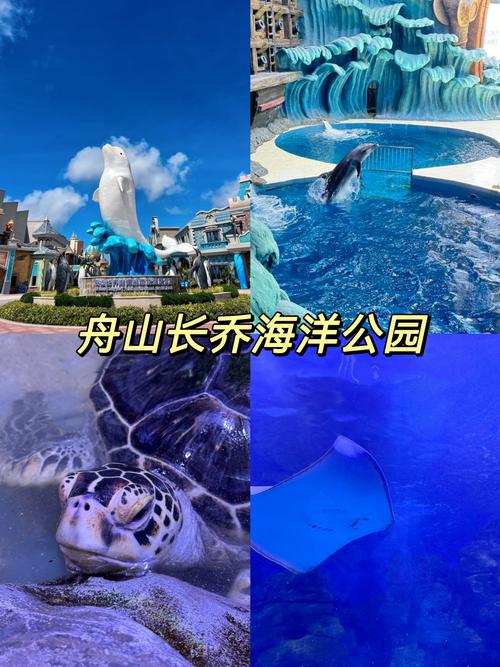 杭州海底世界游玩攻略