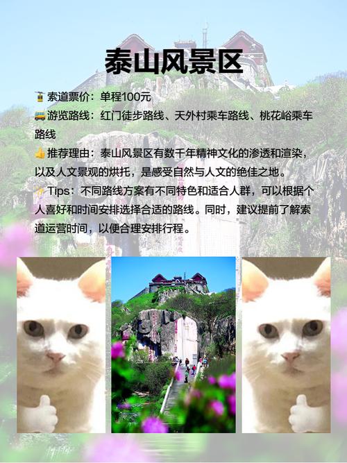 山东省五星级旅游景点