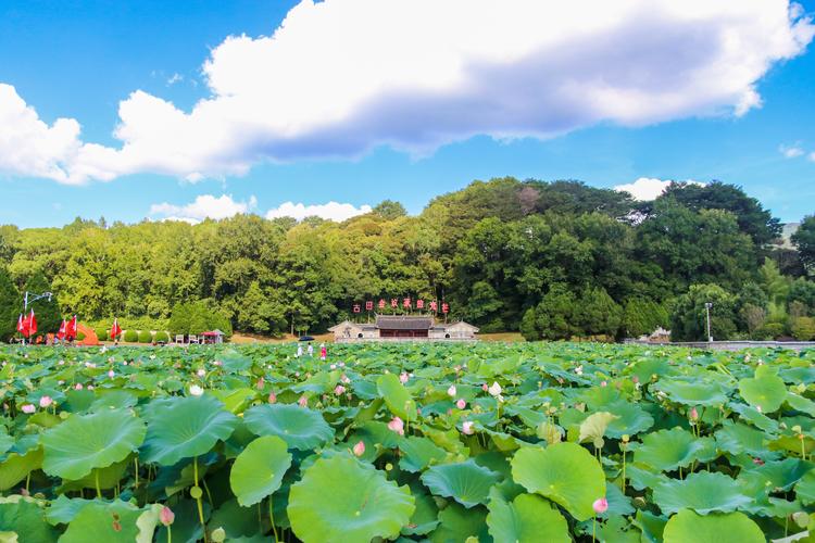 龙岩市上杭县旅游景点
