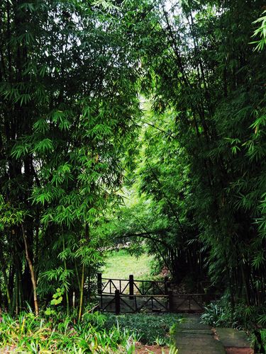 四川广安武胜旅游景点