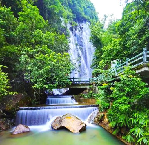 四会旅游景点大全介绍