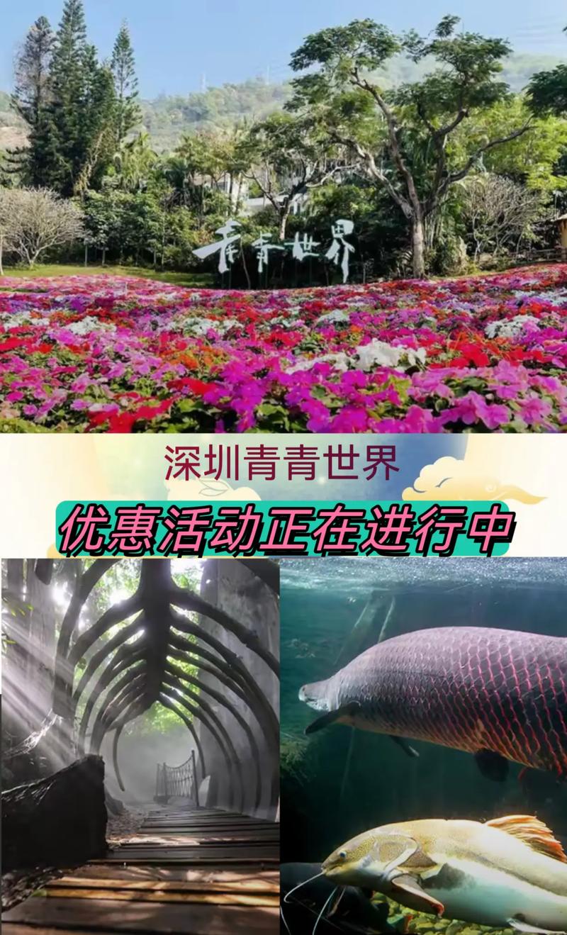 深圳青青世界游玩攻略