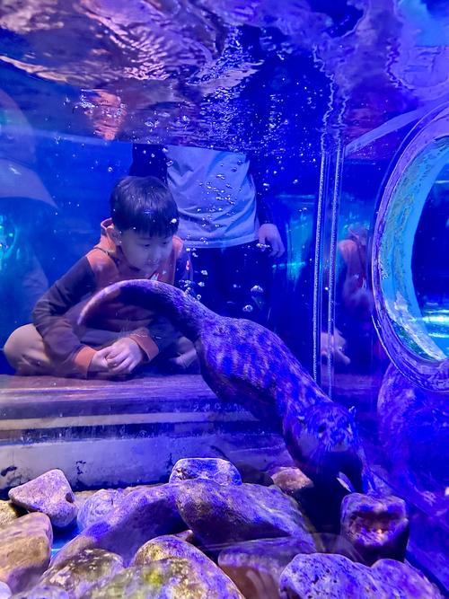 沈阳皇家海洋乐园攻略