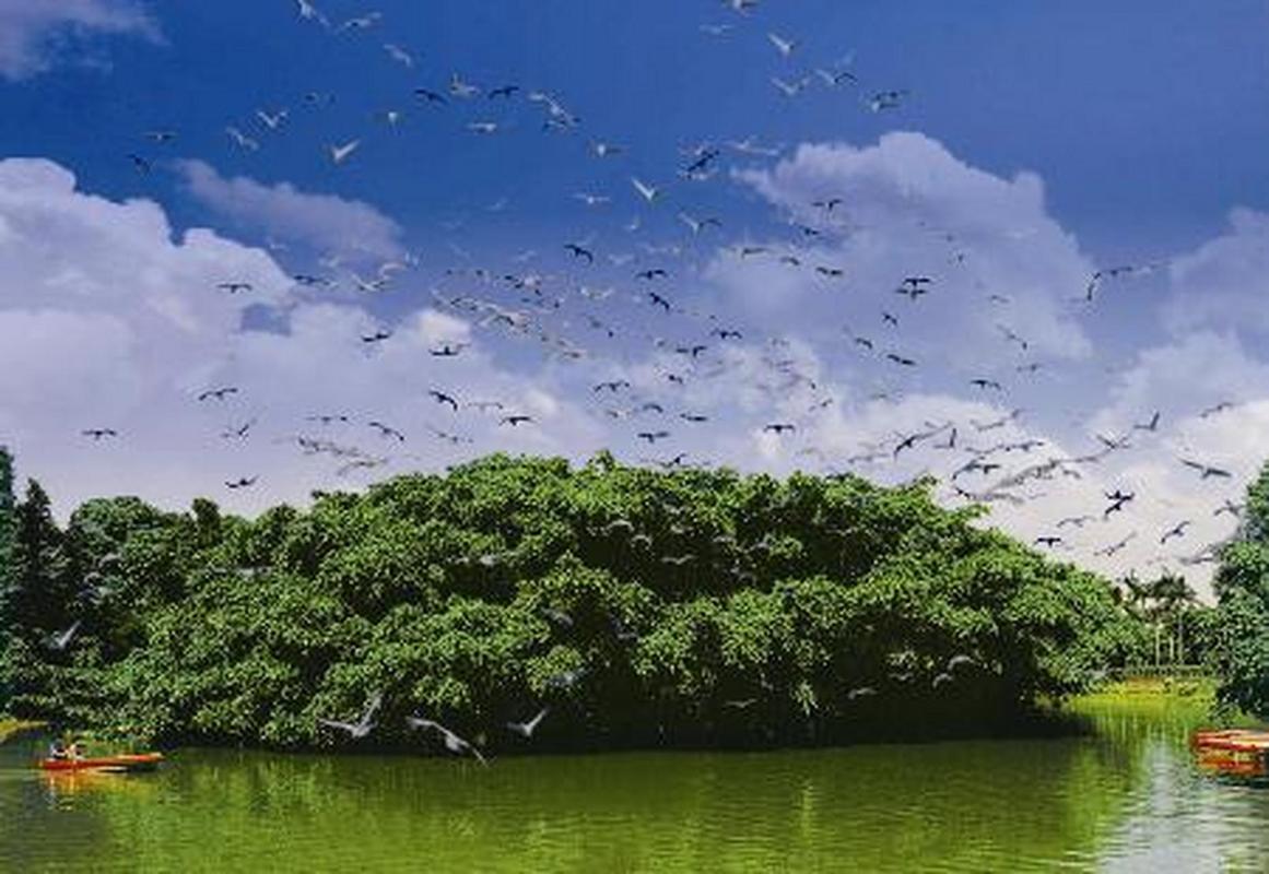 鸟的天堂旅游景点介绍