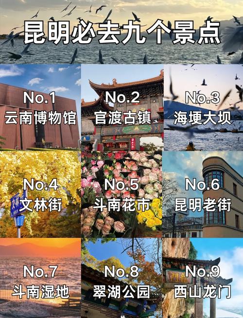 昆明市区旅游景点排名