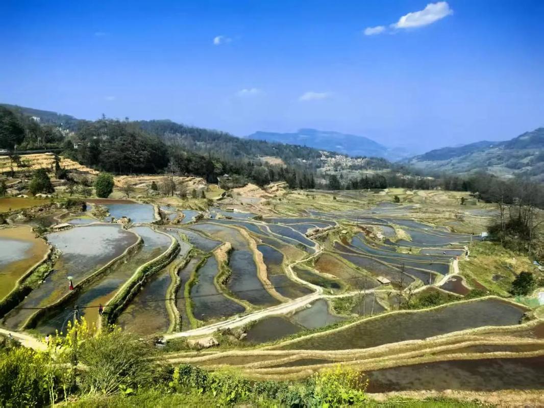 云南红河旅游景点图片