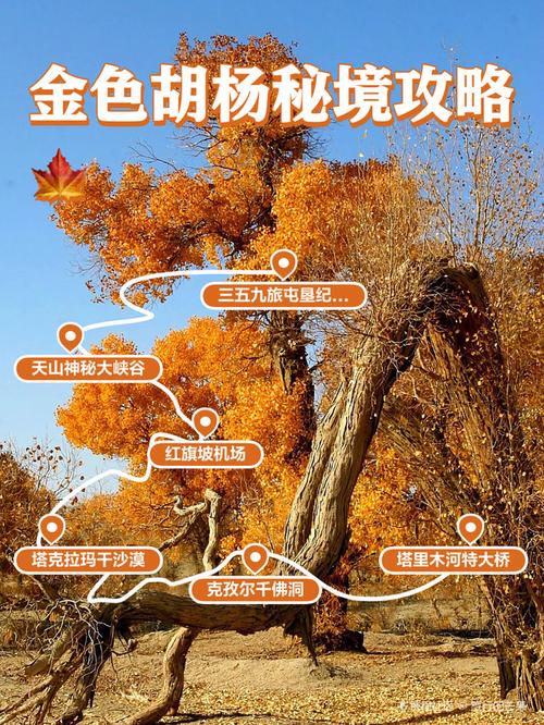 阿克苏市旅游景点介绍