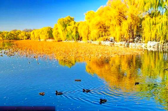 北京16号线旅游景点