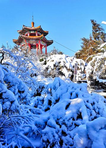 菏泽周边旅游景点冬天