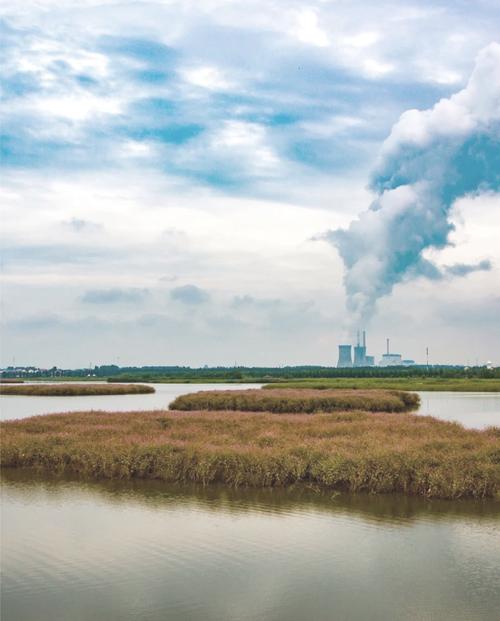 呼兰河口湿地公园攻略