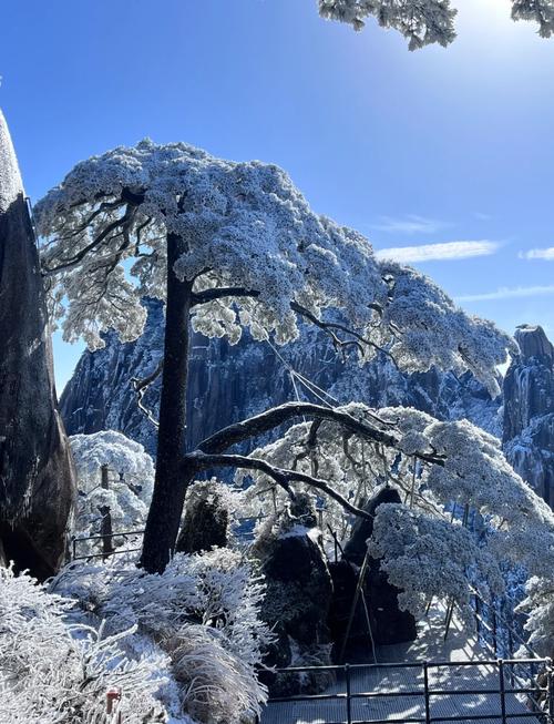 安徽黄山冬季旅游攻略