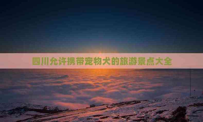 旅游景点允许带宠物吗