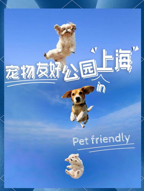 旅游景点允许带宠物吗