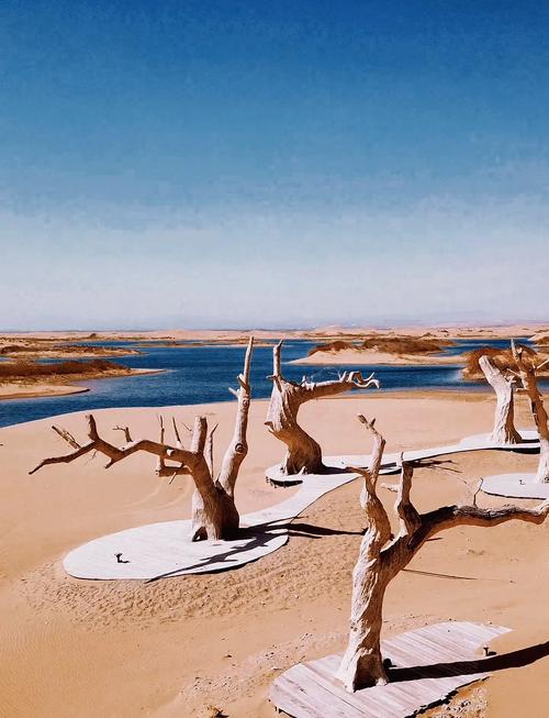 银川乌海旅游景点大全