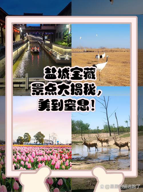 盐城周边旅游景点攻略