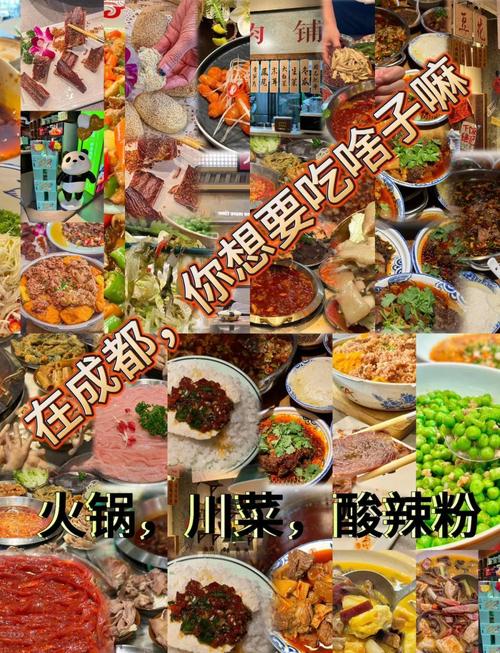 成都美食天府节目表