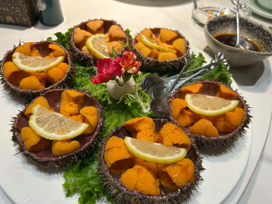 大连好生活美食官网